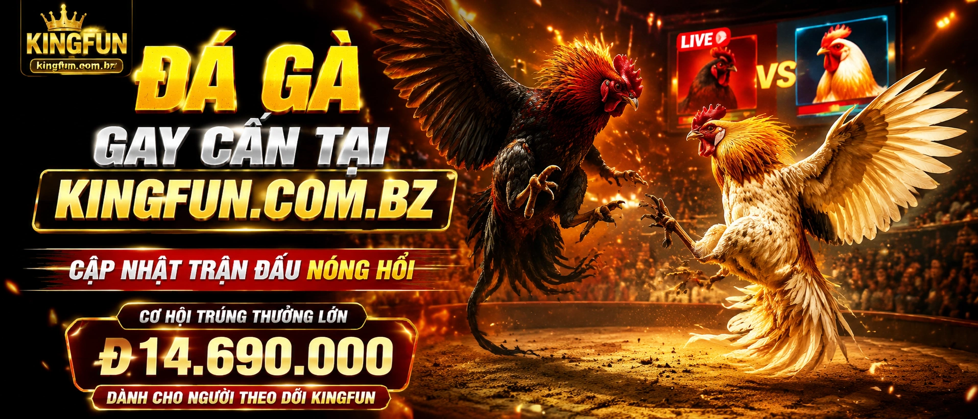 Đá Gà Trực Tiếp trên Kingfun